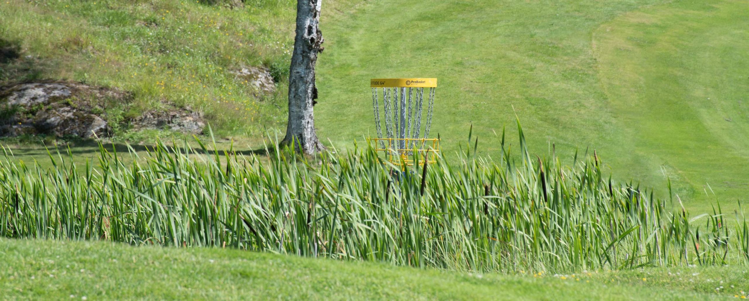 NAIF_banebygging_1 Dekorativt bilde av en diskgolfkurv på en vakker diskgoldfbane